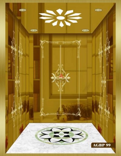 Eliot Elevator WA0009